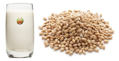 Bebida de cebada - Bebida vegetal de grano, cereal o pseudocereal
