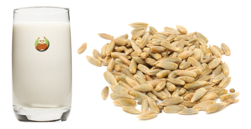 Bebida de centeno - Bebida vegetal de grano, cereal o pseudocereal