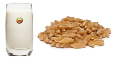 Bebida de kamut - Bebida vegetal de grano, cereal o pseudocereal