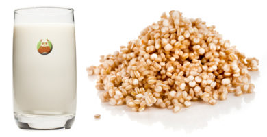 Bebida de quinua: bebida vegetal de grano, cereal o pseudocereal